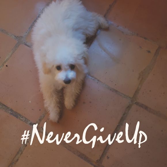 Meet your Posher, Stephenie - Picture 1 of 2